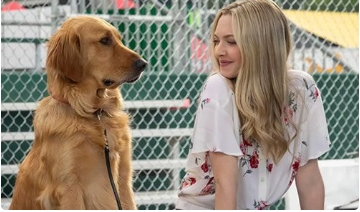 电影《我在雨中等你》解说文案