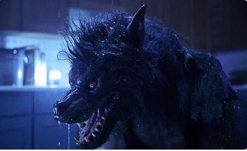 电影《异变狼人》解说文案