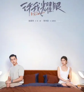 电视剧《许我耀眼》文案