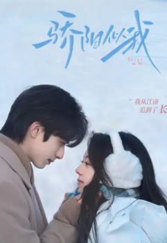 电视剧《骄阳似我》文案