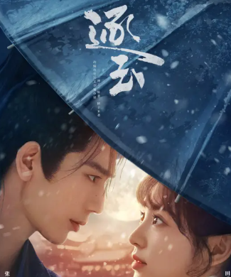 电视剧《逐玉》文案